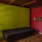 Hostel Blueberry *