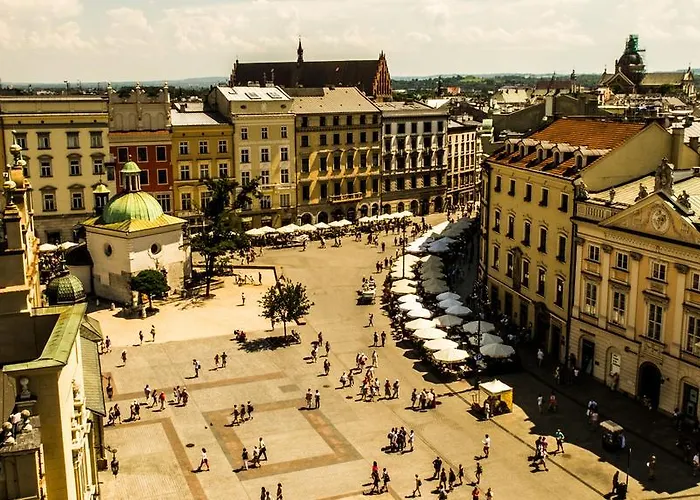 Blueberry كراكوفيا